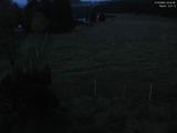 03 : 44