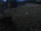 04 : 36