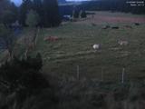 04 : 40