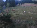 04 : 44
