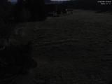 00 : 36