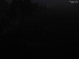 03 : 36