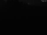 04 : 36