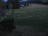 20 : 20