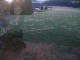 20 : 40