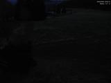 20 : 20