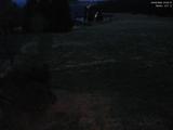 20 : 40