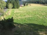 17 : 48