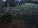 20 : 40