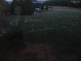 20 : 44