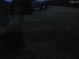 20 : 40