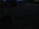 20 : 40