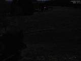 03 : 44