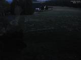 20 : 40