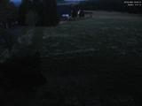 20 : 36