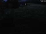 20 : 40