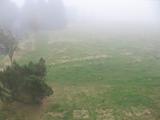 10 : 36