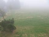 11 : 12