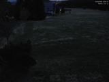 20 : 20