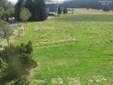 12 : 12