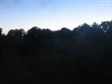 21 : 44