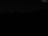 20 : 40