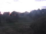 19 : 36