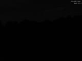 21 : 28