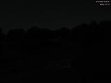 20 : 40