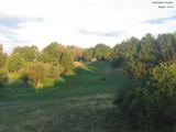 07 : 16