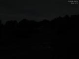 20 : 40