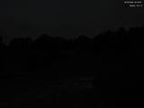 20 : 16
