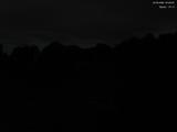 20 : 40