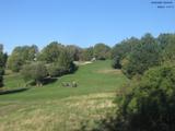 Záznam