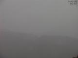 16 : 35