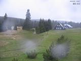 17 : 36