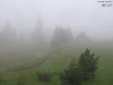 08 : 44