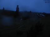 21 : 28