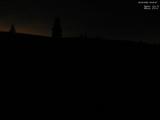 20 : 40