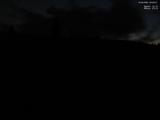 20 : 40