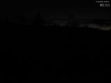20 : 20