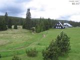 11 : 24