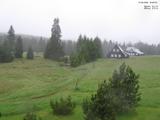 16 : 48