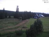21 : 20