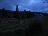 20 : 16