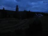 20 : 20