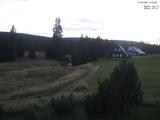 19 : 36