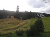 17 : 36