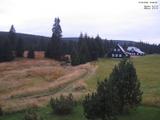 19 : 36