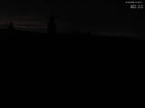 21 : 20